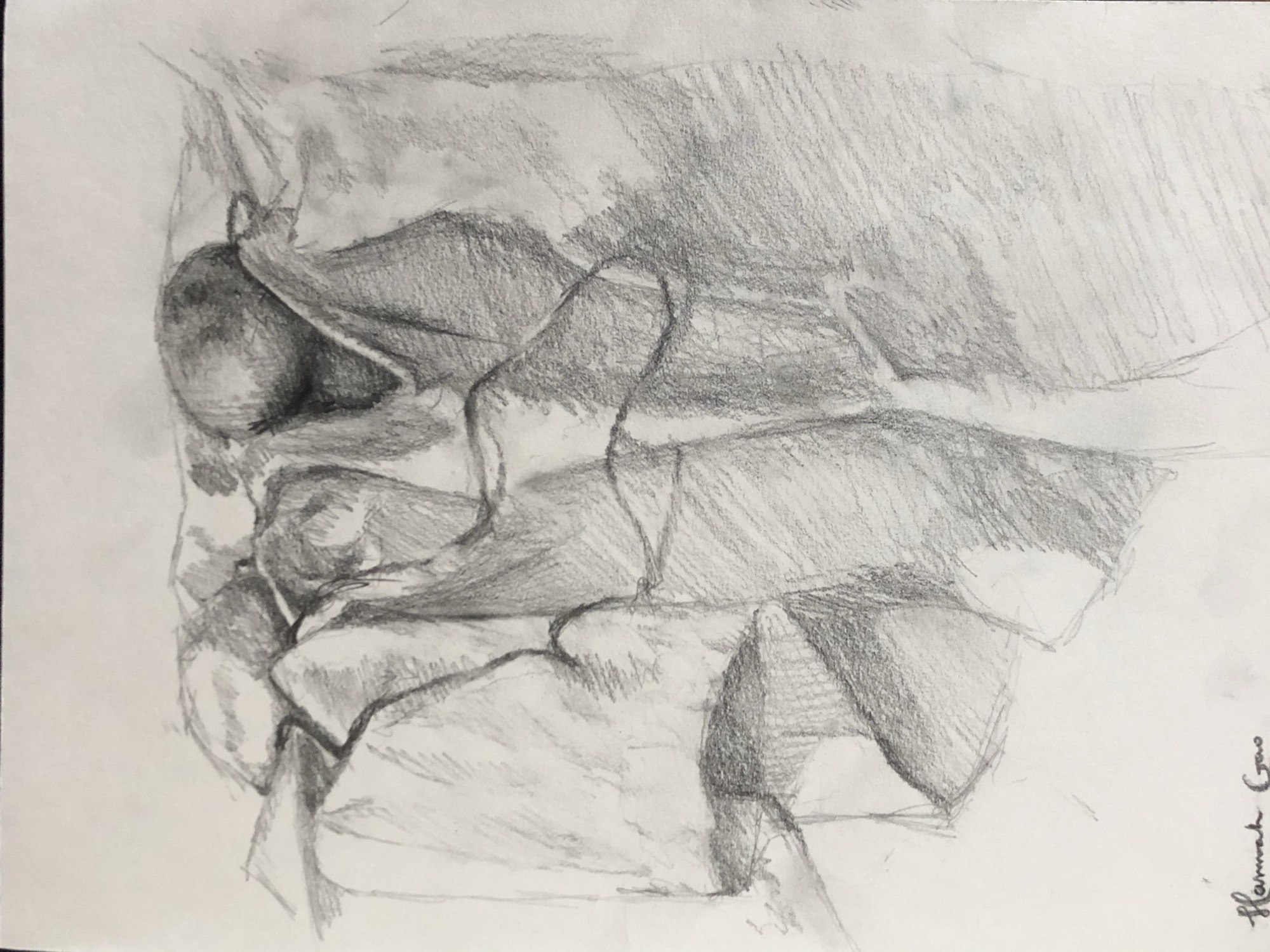 Artwork 11 by Hannah Gao